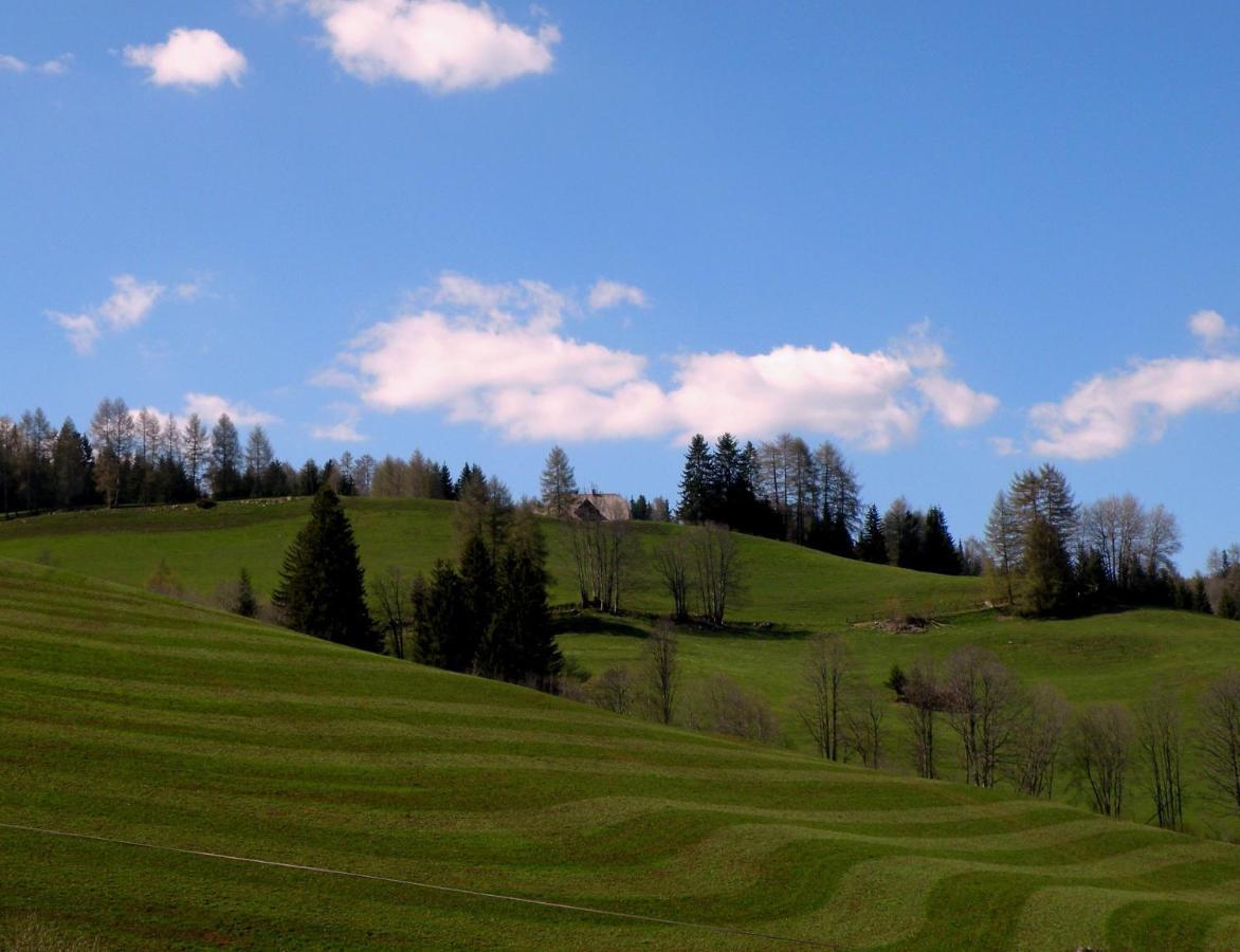 Urlaub Im Zirbenland Villa Obdach Exterior photo